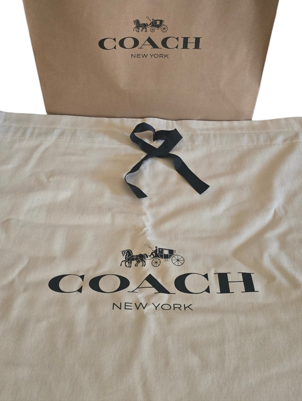 🛍️ COACH Dust Bag XL
